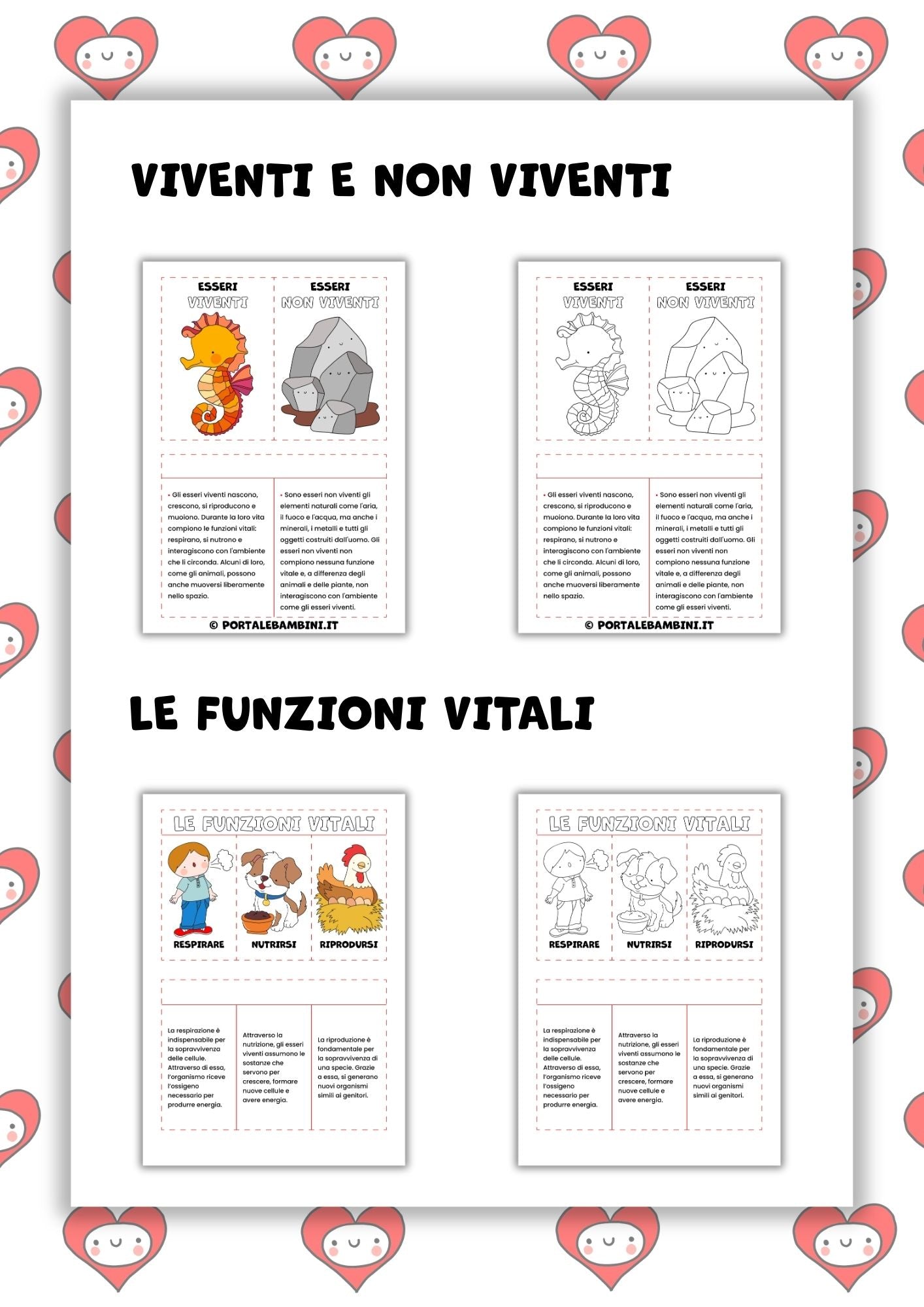 Lapbook e pop-up. Gli esseri viventi