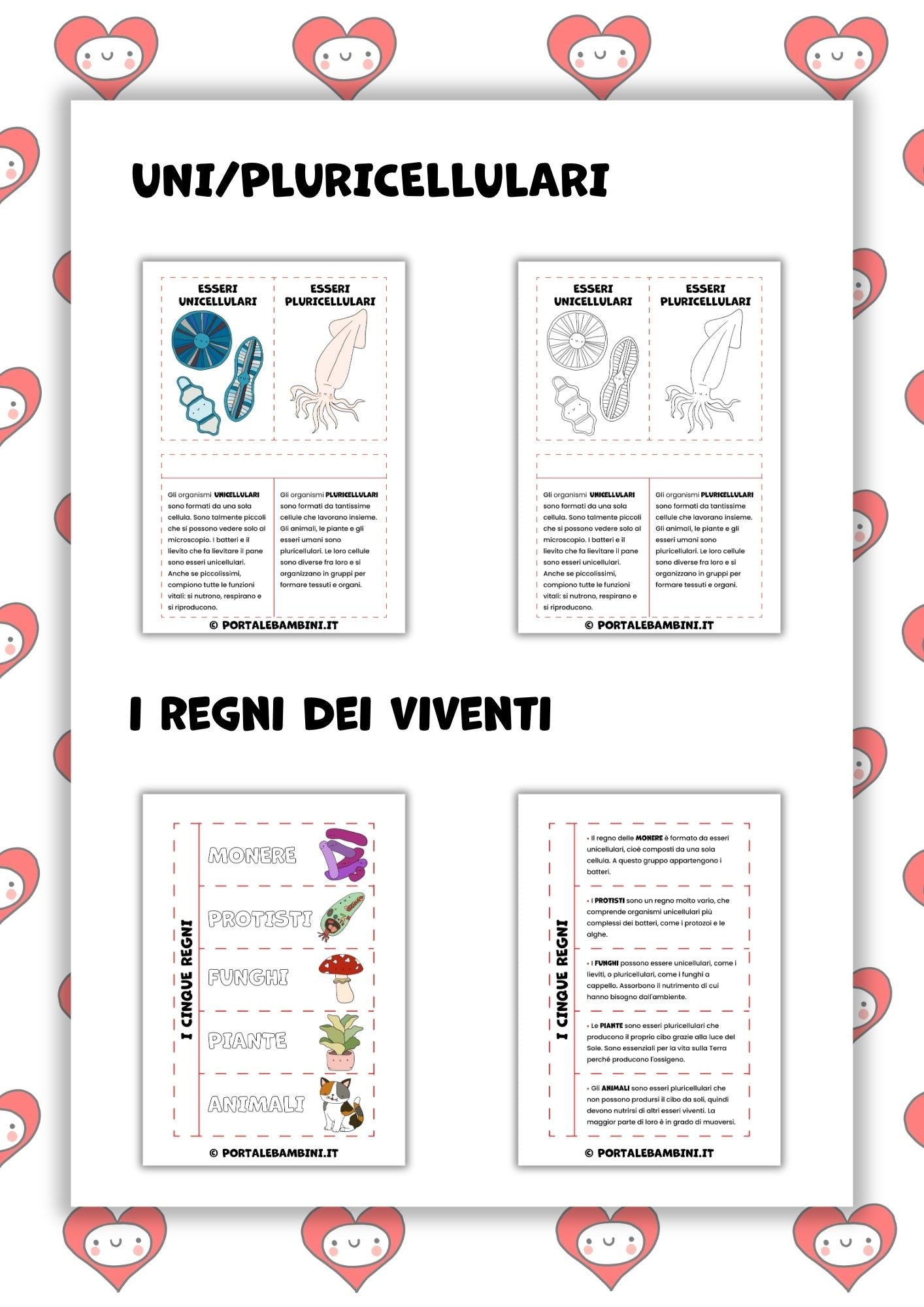 Lapbook e pop-up. Gli esseri viventi