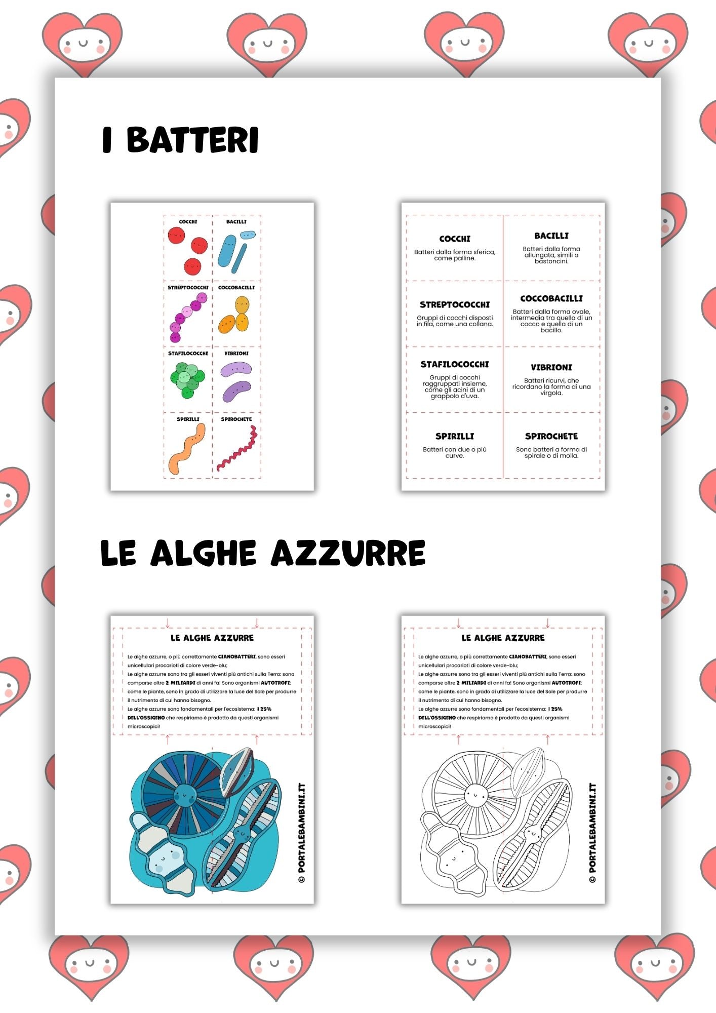 Lapbook e pop-up. Gli esseri viventi