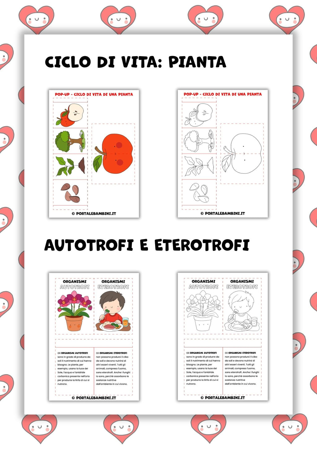 Lapbook e pop-up. Gli esseri viventi